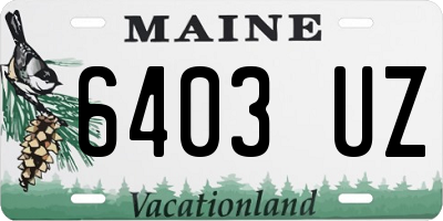 ME license plate 6403UZ