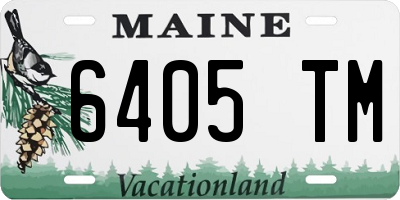 ME license plate 6405TM