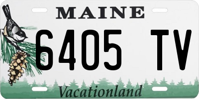 ME license plate 6405TV