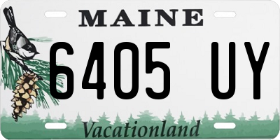 ME license plate 6405UY