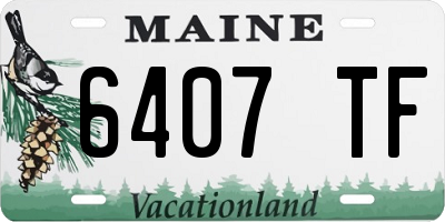 ME license plate 6407TF