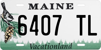 ME license plate 6407TL