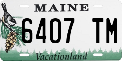 ME license plate 6407TM