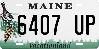 ME license plate 6407UP