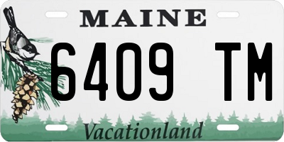 ME license plate 6409TM