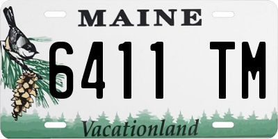 ME license plate 6411TM