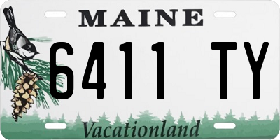 ME license plate 6411TY