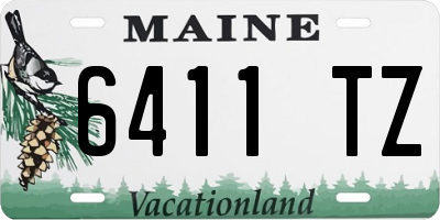 ME license plate 6411TZ