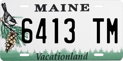 ME license plate 6413TM