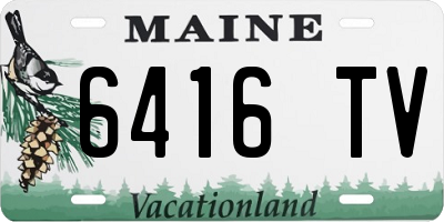 ME license plate 6416TV