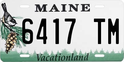 ME license plate 6417TM