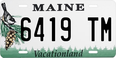 ME license plate 6419TM