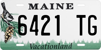 ME license plate 6421TG
