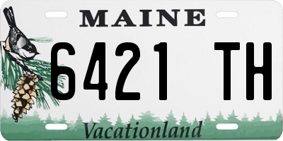 ME license plate 6421TH