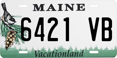 ME license plate 6421VB