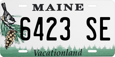 ME license plate 6423SE