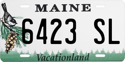 ME license plate 6423SL