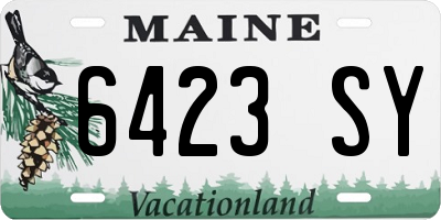ME license plate 6423SY