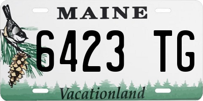 ME license plate 6423TG