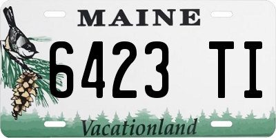 ME license plate 6423TI