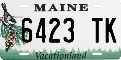 ME license plate 6423TK