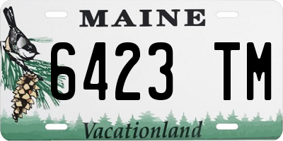 ME license plate 6423TM