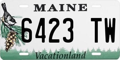 ME license plate 6423TW
