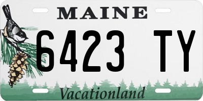 ME license plate 6423TY