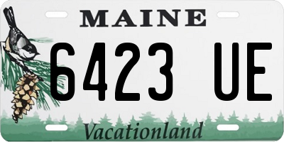 ME license plate 6423UE