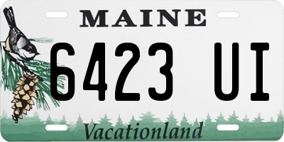 ME license plate 6423UI