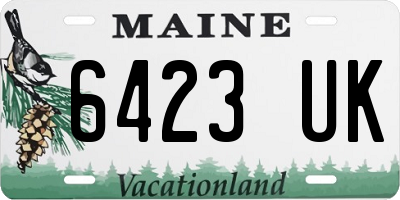 ME license plate 6423UK