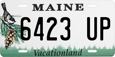 ME license plate 6423UP