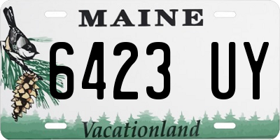 ME license plate 6423UY