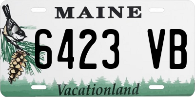 ME license plate 6423VB