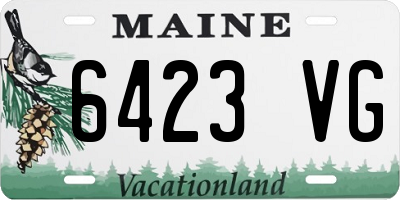 ME license plate 6423VG