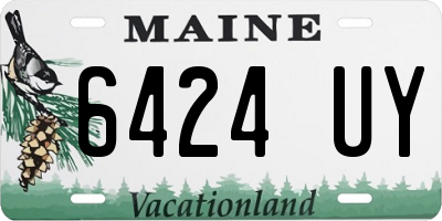 ME license plate 6424UY