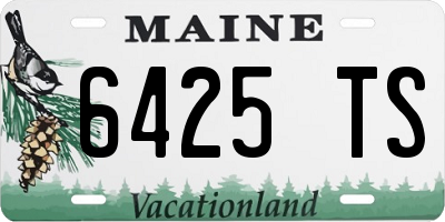 ME license plate 6425TS