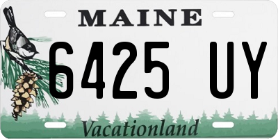 ME license plate 6425UY