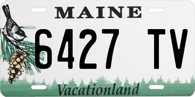 ME license plate 6427TV