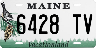 ME license plate 6428TV