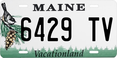 ME license plate 6429TV