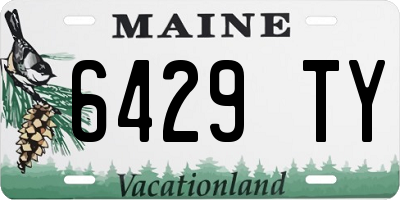 ME license plate 6429TY