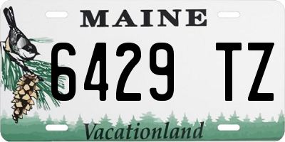ME license plate 6429TZ