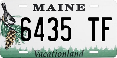 ME license plate 6435TF