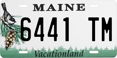 ME license plate 6441TM