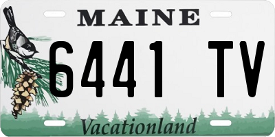 ME license plate 6441TV