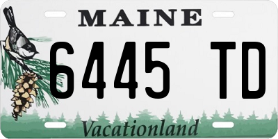ME license plate 6445TD