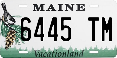 ME license plate 6445TM