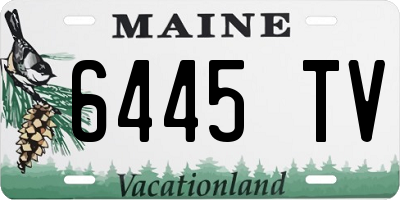 ME license plate 6445TV