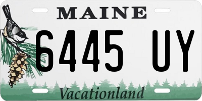 ME license plate 6445UY